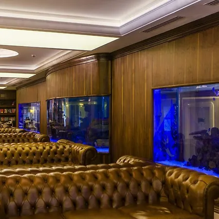 White Gold & 알란야