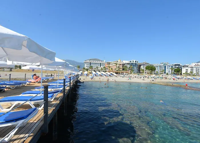 Hotel White Gold & 5*